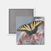 タイガーアゲハチョウ蝶オンピンクの花 マグネット (正面/裏面)