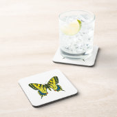 タイガーアゲハチョウ蝶 コースター (右側)