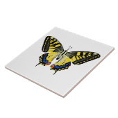 タイガーアゲハチョウ蝶 タイル (側面)