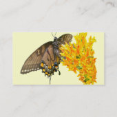 タイガーアゲハチョウ蝶(パピリオ・グラウカス)アイテム 名刺 (裏面)