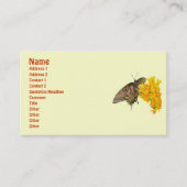 タイガーアゲハチョウ蝶(パピリオ・グラウカス)アイテム 名刺 (正面)