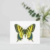 タイガーアゲハチョウ蝶 ポストカード (スタンド正面)