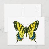 タイガーアゲハチョウ蝶 ポストカード (正面/裏面)