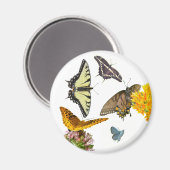 タイガーアゲハチョウ蝶 マグネット (正面/裏面)