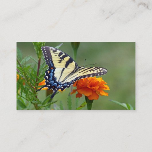 タイガーアゲハチョウ蝶 名刺 (裏面)