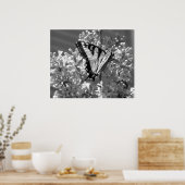 タイガーアゲハチョウ ポスター (キッチン)