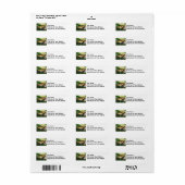 タイガーアゲハチョウNext to Cleome ラベル (フルシート)