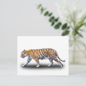 タイガーウォーク ポストカード (スタンド正面)