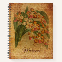 タイガーオーキッドヴィンテージ紙スタイルアート