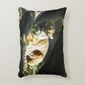 タイガーカタップ アクセントクッション (正面(垂直))