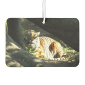 タイガーカタップ カーエアーフレッシュナー (裏面)