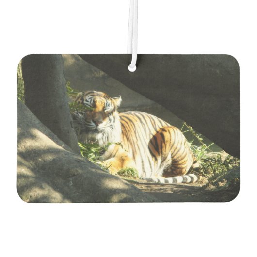 タイガーカタップ カーエアーフレッシュナー (裏面)