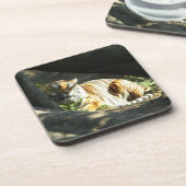 タイガーカタップ コースター (左側)