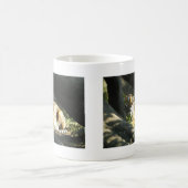 タイガーカタップ コーヒーマグカップ (中央)