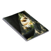 タイガーカタップ ノートブック (右側)