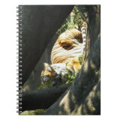 タイガーカタップ ノートブック (正面)