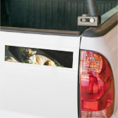 タイガーカタップ バンパーステッカー (トラック上)