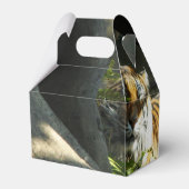 タイガーカタップ フェイバーボックス (裏面サイド)