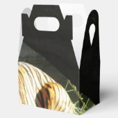 タイガーカタップ フェイバーボックス (オープン)