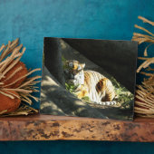 タイガーカタップ フォトプラーク (側面)