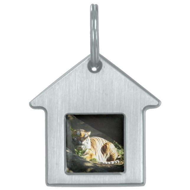 タイガーカタップ ペットネームタグ (正面)