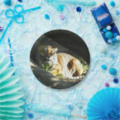 タイガーカタップ ペーパープレート (パーティー)