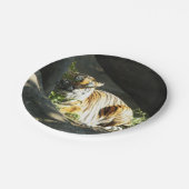 タイガーカタップ ペーパープレート (アングル)