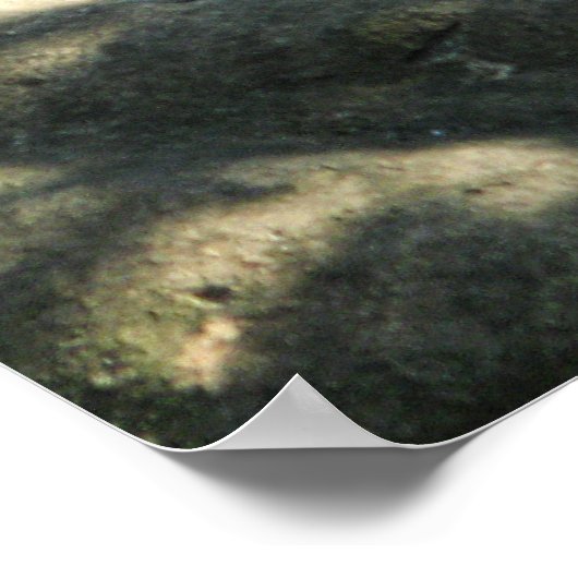 タイガーカタップ ポスター (角)