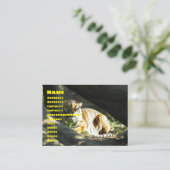 タイガーカタップ 名刺 (スタンド正面)