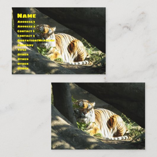 タイガーカタップ 名刺 (正面/裏面)