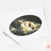 タイガーカタップ 楕円形シール (封筒)