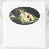 タイガーカタップ 楕円形シール (バッグ)