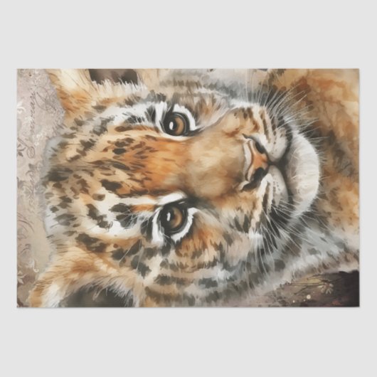 タイガーカッブの水色 薄葉紙 (正面)