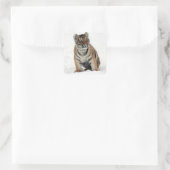 タイガーカッブ スクエアシール (バッグ)