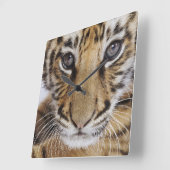 タイガーカッブ スクエア壁時計 (傾斜)