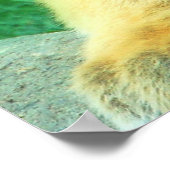 タイガーカッブ ポスター (角)