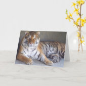 タイガーカード カード (黄色い花)