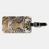 タイガークブ ラゲッジタグ (正面横)