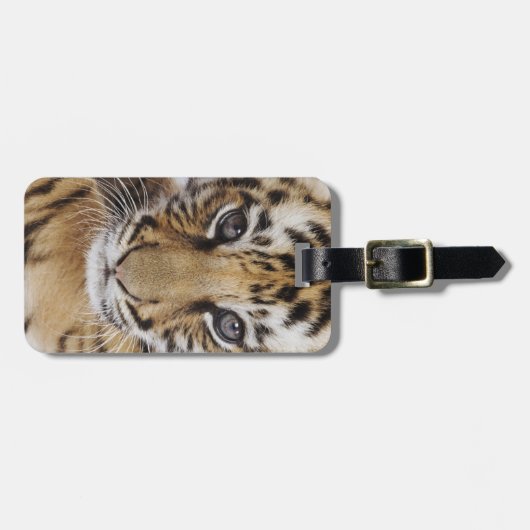 タイガークブ ラゲッジタグ (正面横)