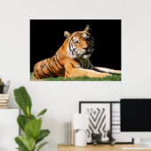 タイガークローズアップ ポスター (ホームオフィス)