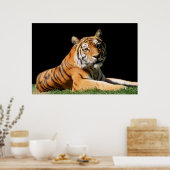 タイガークローズアップ ポスター (キッチン)