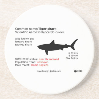 タイガーシャークコースター コースター