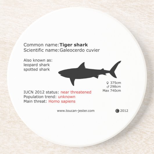 タイガーシャークコースター コースター (正面)