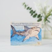 タイガーシャーク ポストカード (スタンド正面)