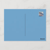 タイガーシャーク ポストカード (裏面)