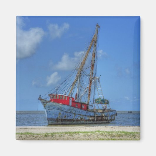 タイガーシャーク マグネット (正面)