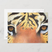 タイガースの目 ポストカード (正面/裏面)
