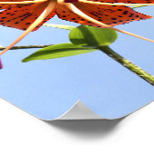 タイガースカイポスター ポスター (角)