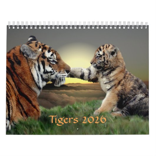タイガースカレンダー2025 カレンダー (カバー)