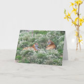 タイガースステップソン誕生日 カード (黄色い花)